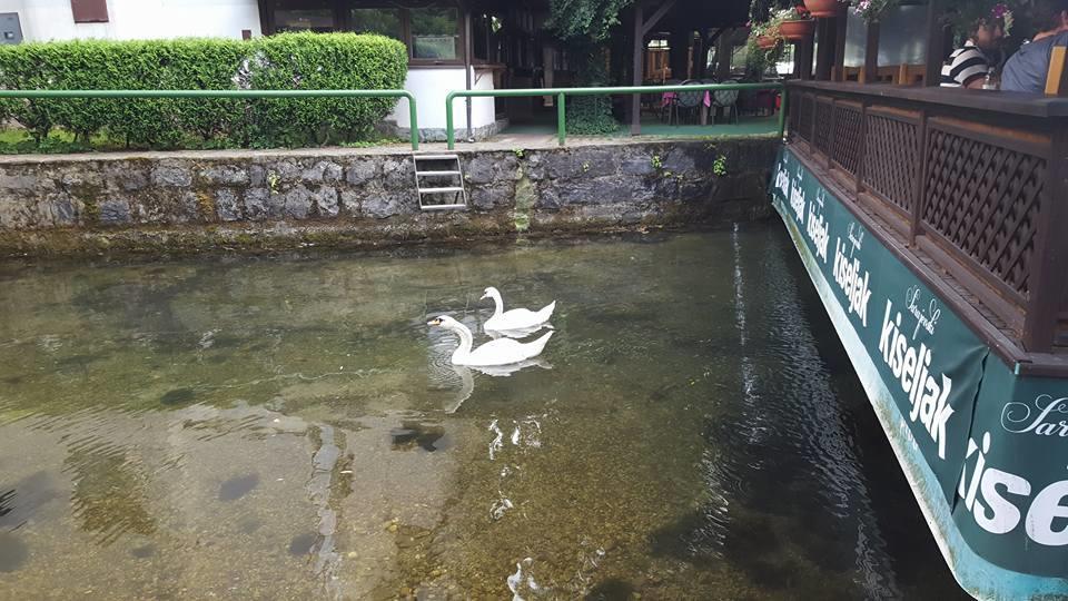 Hotel Rimski Most Ilidža Ngoại thất bức ảnh